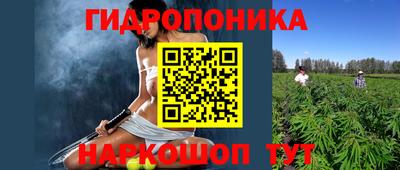 СК Рыбинск