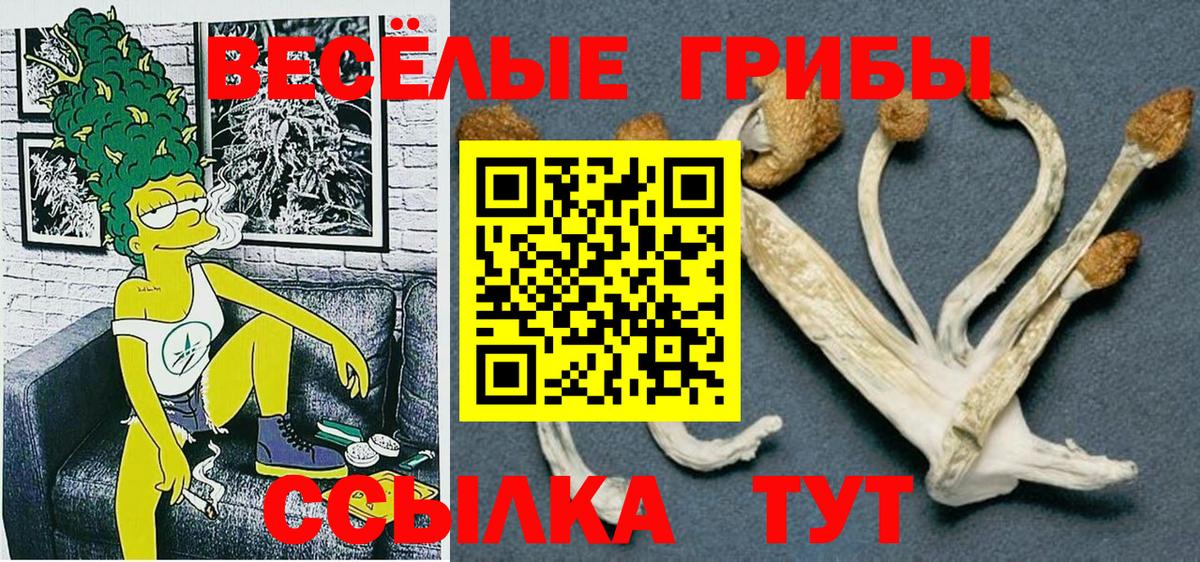 Псилоцибиновые грибы мухоморы Тула